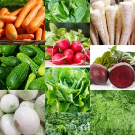 zestaw-nasion-warzywa-na-start-20-opakowan