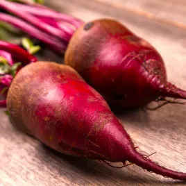 burak-opolski-dlugi-nasiona-toraf-10g