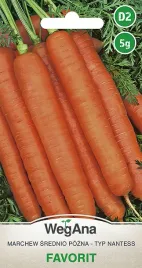 marchew-jadalna-favorit-nantess-nasiona-5g