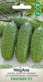 ogorek-gruntowy-fantasy-f1-wczesny-nasiona-5g