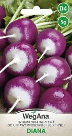 rzodkiewka-diana-nasiona-fioletowa-wczesna-5g