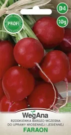 rzodkiewka-faraon-nasiona-profi-b-wczesna-10g