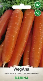 marchew-darina-pozna-berlikumer-nasiona-5g