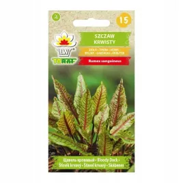 szczaw-krwisty-nasiona-wieloletni-ziola-02g