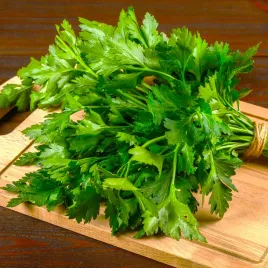 pietruszka-naciowa-fest-nasiona-profi-5g