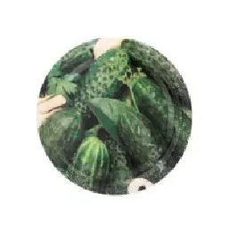 wieczko-komplet-10-szt-fi-82-6-zacz-ogorek-2117-zakretka