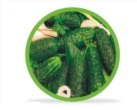 zakretka-10-szt-66-mm-warzywa-mix