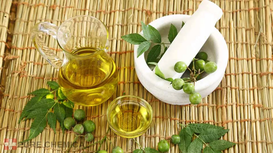 olejek-neem-nierafinowany-naturalny-tloczony-na-zimno-20l