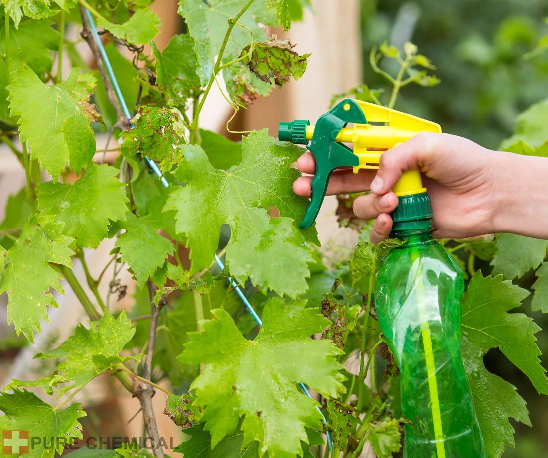 olejek-neem-nierafinowany-naturalny-tloczony-na-zimno-20l