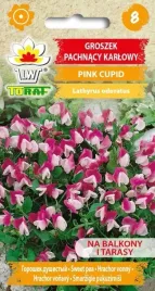 groszek-rozowy-pachnacy-pink-cupid-nasiona-1g