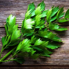 lubczyk-ogrodowy-lekarski-nasiona-ziol-przyprawa-aromatyczny