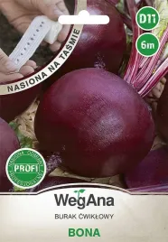 burak-cwiklowy-bona-nasiona-na-tasmie-6m