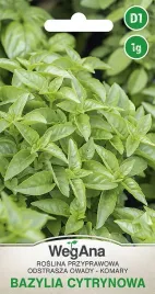 bazylia-cytrynowa-nasiona-ziol-przyprawa-1g