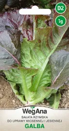 salata-rzymska-galba-nasiona-wczesna-1g