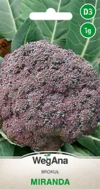 brokul-miranda-fioletowy-nasiona-wegana-1g