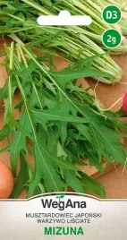 mizuna-musztardowiec-japonski-nasiona-2g