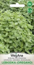 oregano-lebiodka-pospolita-lecznicza-nasiona-02g