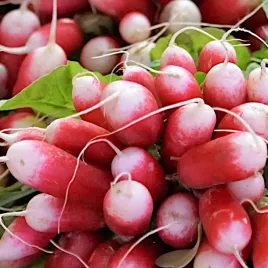 rzodkiewka-18-dniowa-de-dix-szybko-rosnie-nasiona