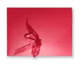 sexy-kokarda-prezentyna-waga-z-opakowaniem-0-2-kg