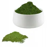 pigment-bejca-barwnik-do-betonu