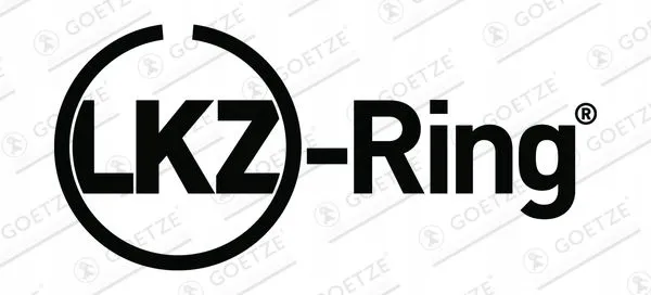 piers-tl-goetze-08-449900-00-numer-katalogowy-czesci-08-449900-00