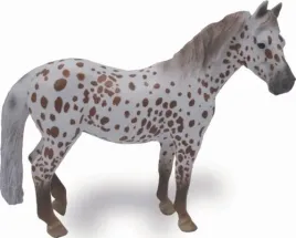 klacz-british-spotted-pony-masci-kasztan-004-88750