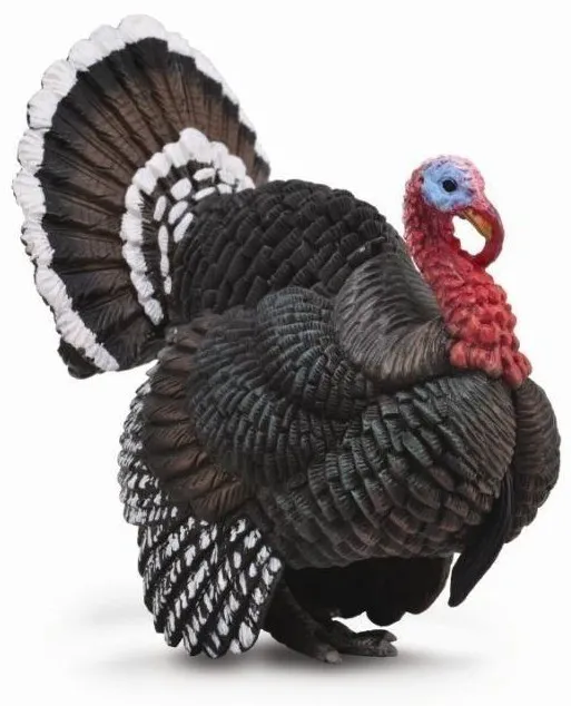 indyk-004-88762-stan-nowy