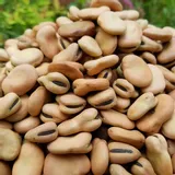 bob-bartek-duza-paczka-50g