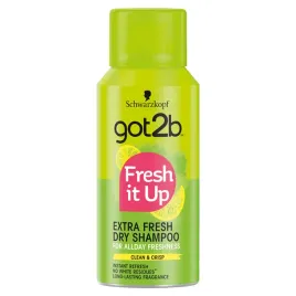 got2b-fresh-it-up-dry-shampoo-suchy-szampon-do-wlosow-extra-fresh-100ml