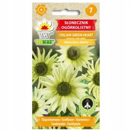 slonecznik-ogorkolistny-ozdobny-italian-green-heart-nasiona-slonecznika