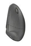 mysz-trust-verto-wrlss-ergonomic-mouse-kolor-wielokolorowy