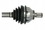 polos-ford-focus-ii-25st-producent-czesci-magneti-marelli