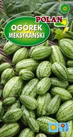 ogorek-meksykanski-jadalny-mini-owoce-nasiona
