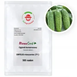 ogorek-orfeus-f1-partenokarpiczny-500-nasion-bez-goryczki-profi-wegana
