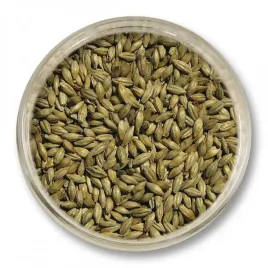 slod-pale-ale-viking-malt-5-5-7-5-ebc-5kg