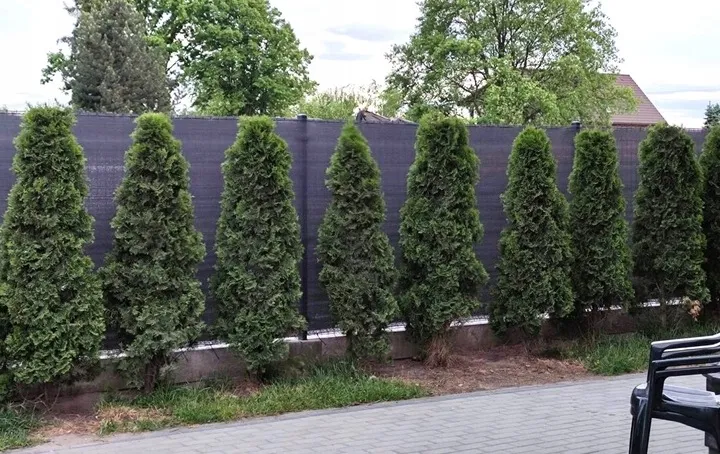 siatka-cieniujaca-15x25m-maskujaca-90percent-oslona-mata-na-ogrodzenie-plot-uv