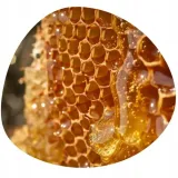 kevin-murphy-anti-gravity-lotion-na-objetosc-150ml-produkt-nie-zawiera-parabenow