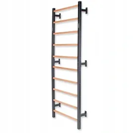 drabinka-gimnastyczna-olejowane-drewno-231x755-cm