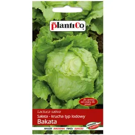 salata-lodowa-krucha-bakata-nasiona-1g