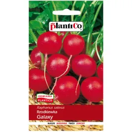 rzodkiewka-wczesna-galaxy-kulista-nasiona-10g