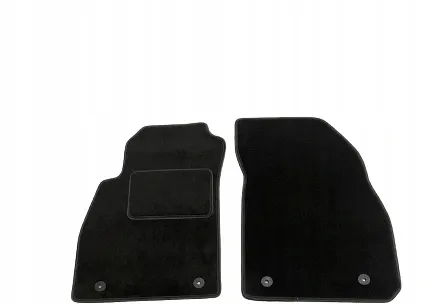 dywaniki-welurowe-przednie