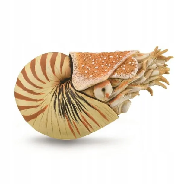nautilus-pompilius-bohater-brak
