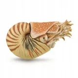 nautilus-pompilius-bohater-brak