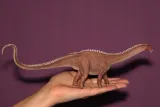 dinozaur-brontosaurus-plec-chlopcy-dziewczynki