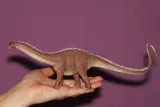 dinozaur-brontosaurus-marka-collecta