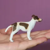 pies-chart-szczenie-marka-collecta