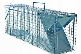 zywolapka-pulapka-na-koty-kuny-bardzo-szybka