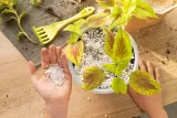 20l-perlit-3-6m-agro-spulchnia-podloze-do-wysiewu-rodzaj-inna
