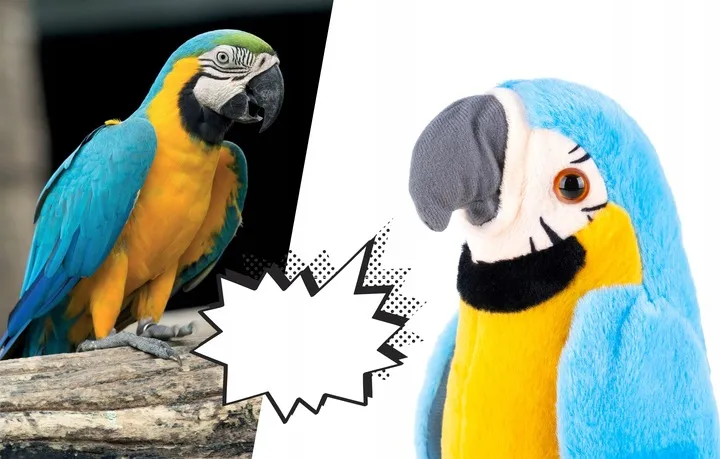 papuga-gadajaca-powtarza-tanczy-mowi-mowiaca-mis-gadajaca-maskotka-wiek-dziecka-3-lata