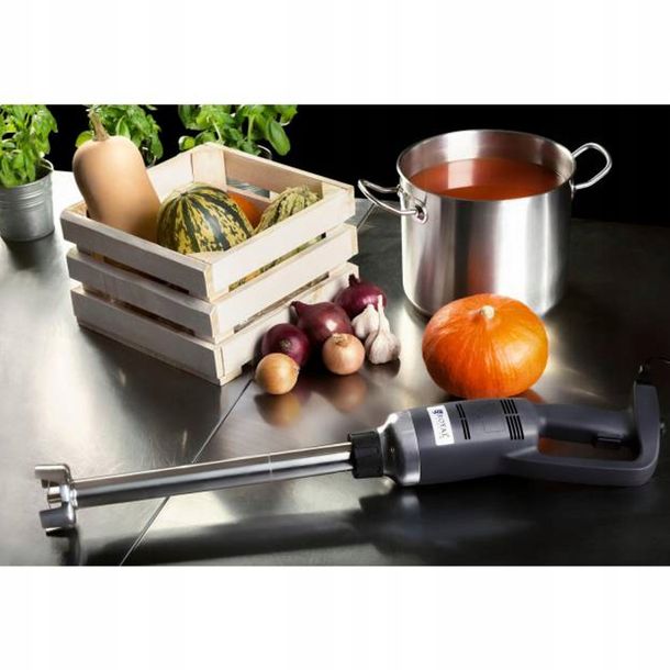 ﻿Blender ręczny Royal Catering RCSM-350-400P 350 W czarny